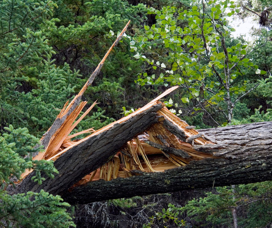 1.-NZ-Imagery Blogs Storm-Damage-4